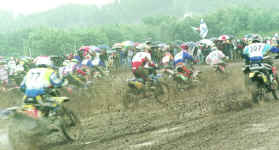 mxtest.jpg (107999 bytes)