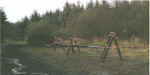 sposts.jpg (57908 bytes)