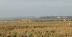 truegrit4.jpg (27086 bytes)
