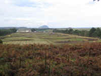 loch04.jpg (212825 bytes)