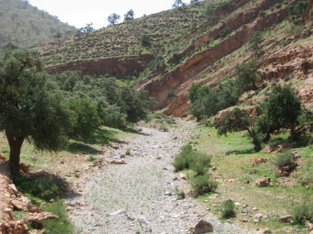 agad08.jpg (306561 bytes)