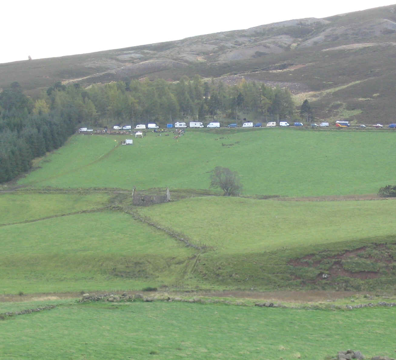 bon0603.jpg (954651 bytes)