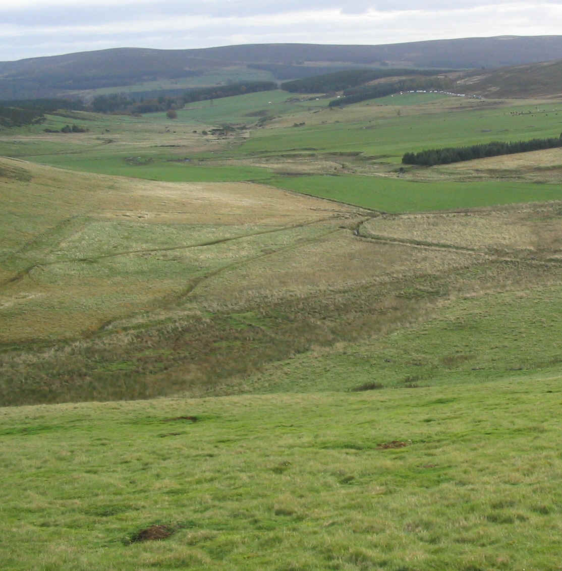 bon0604.jpg (933525 bytes)