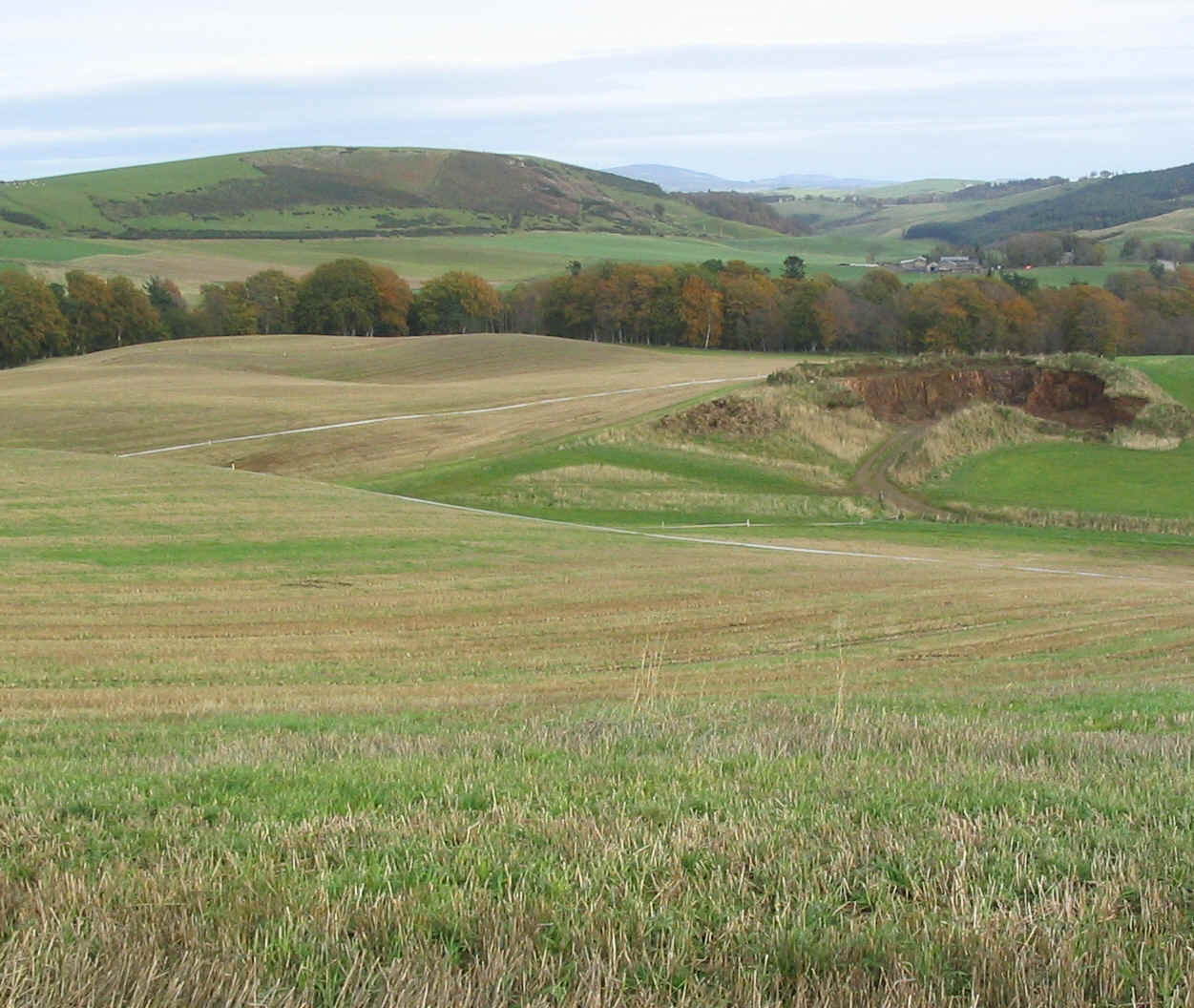 bon0611.jpg (1036710 bytes)
