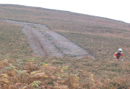 seloct15.jpg (146491 bytes)