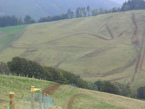 seloct16.jpg (147066 bytes)