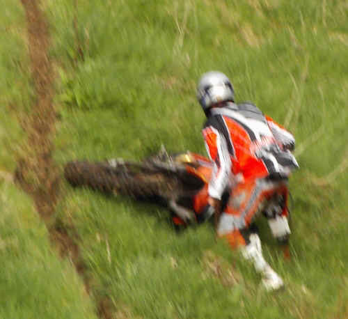 Angus Pathhead 2007 133.jpg (179725 bytes)