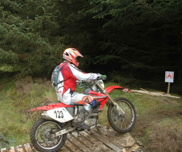 grif0707.jpg (291351 bytes)